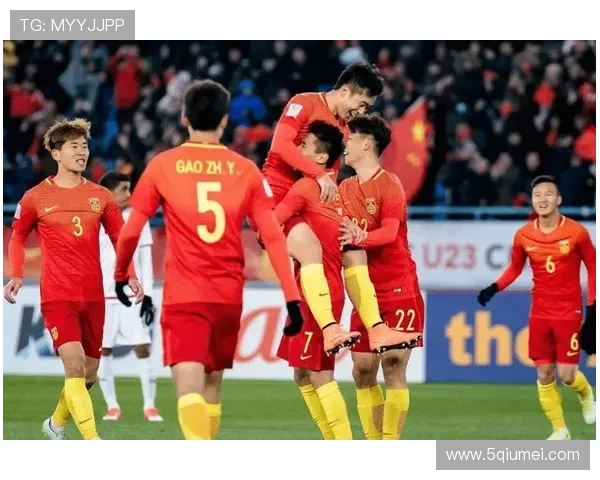 广州排球队灵活性引发热议球迷与专家各执己见探讨争议背后原因