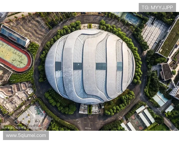 广州极限运动队实力飙升再创佳绩引领全国力量排名新高