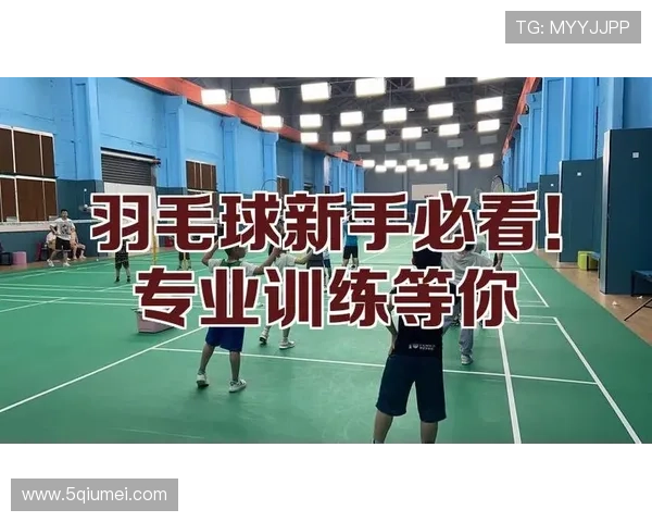 广州羽毛球队进攻体系解析与战术运用探讨